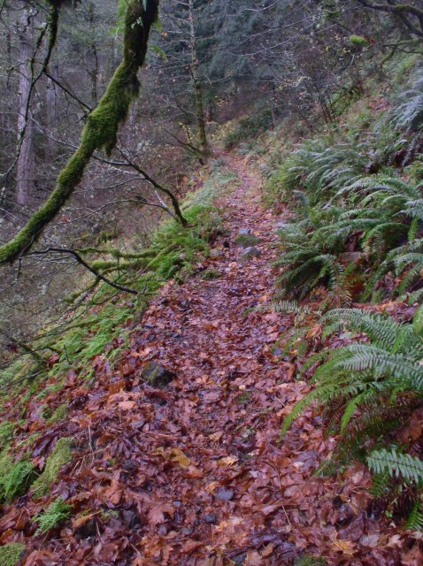 11.27.05 Nesmith Point 034 